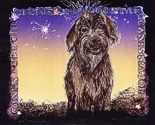 Sirius the Dog Star